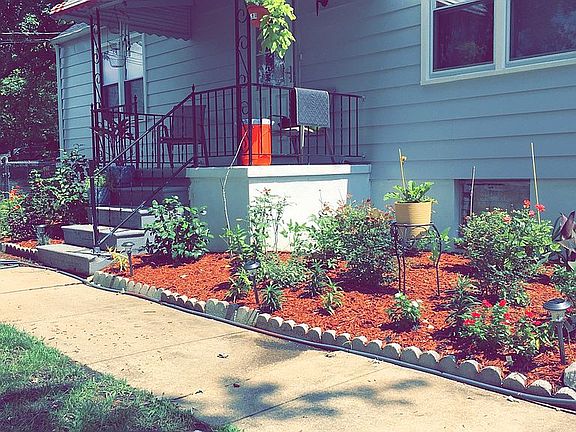 Closer look to the garden 