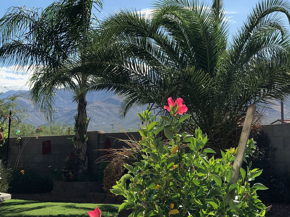 A backyard oasis! 
