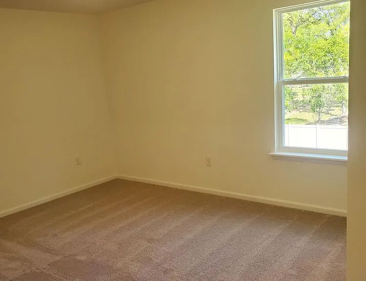 247 Mustard Hill Ct — Photo 10
