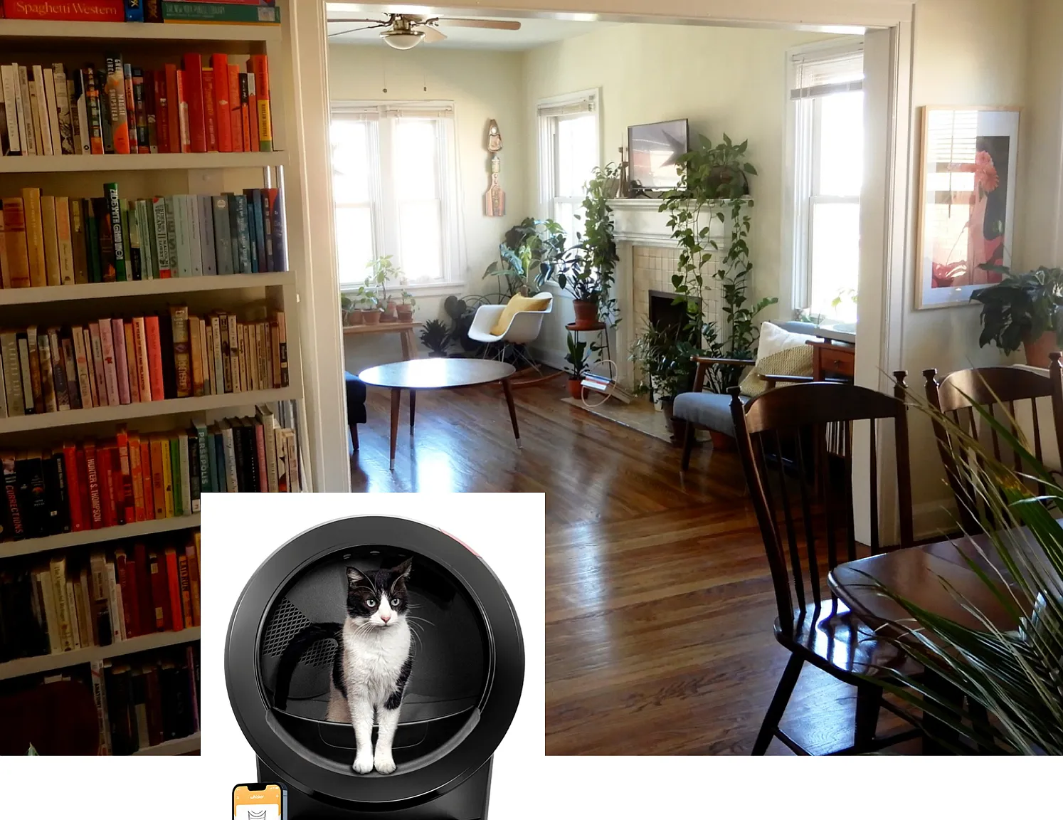 925 Nassau Street - 2 — Photo 1