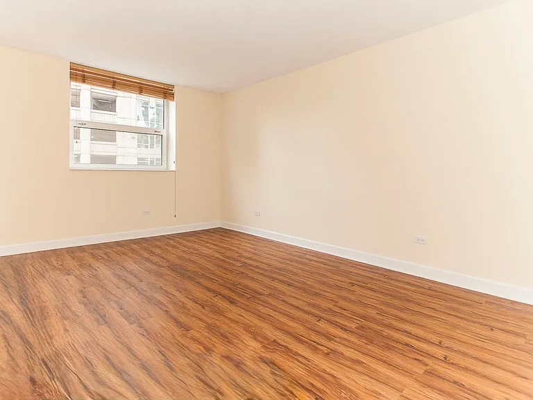 545 N Dearborn St #902 — Photo 8