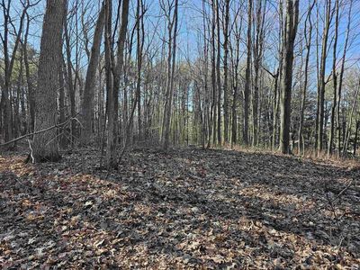  RIDGEWAY HEIGHTS, Manawa, WI, 54949