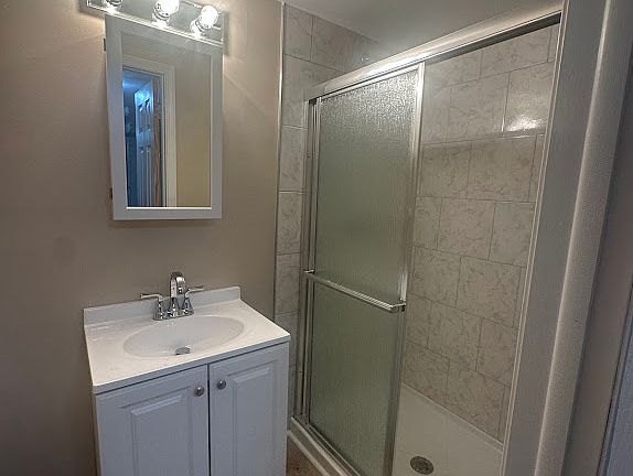 Lower level bathroom