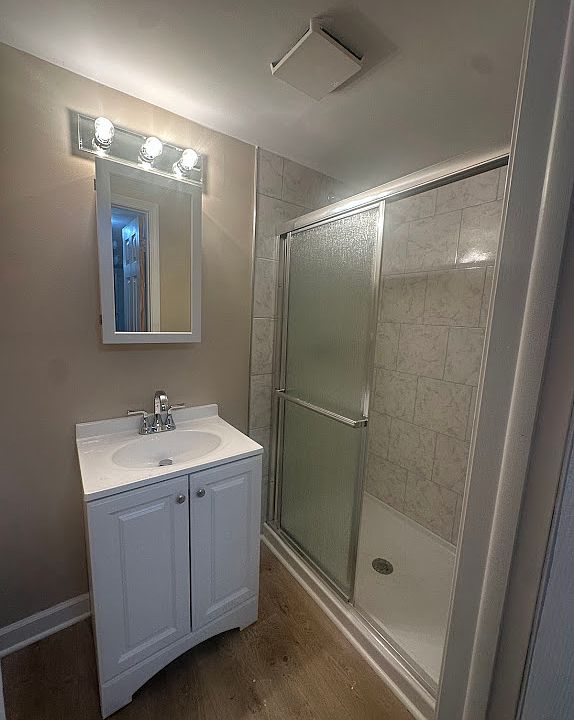 Lower level bathroom
