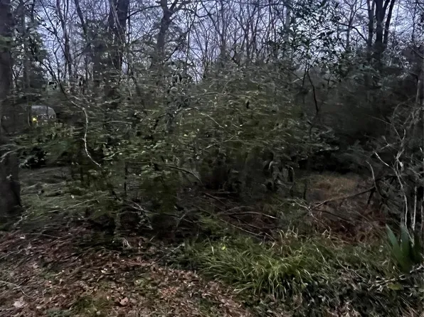 0 Elm St Lot 58, Huffman, TX 77336
