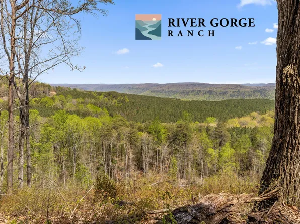 2225 High Ground Rd, Guild, TN 37340