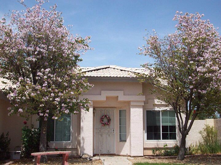 2nd image of 1114 E Harbor View Dr