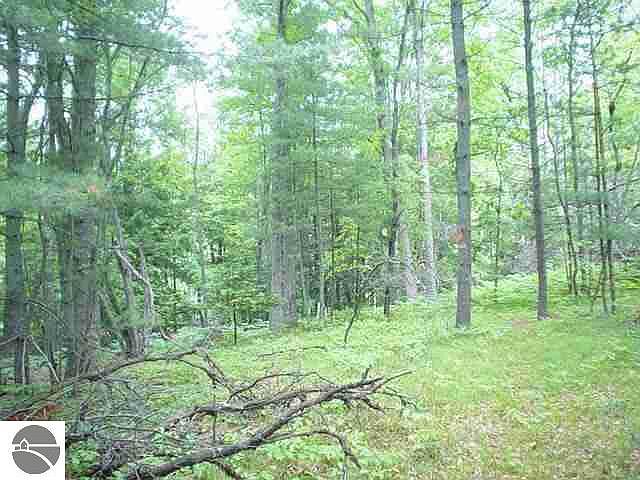 2nd image of 0 Bobcat Trl
