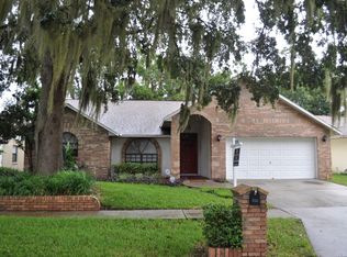 3528 Springville Dr, Valrico, FL 33596