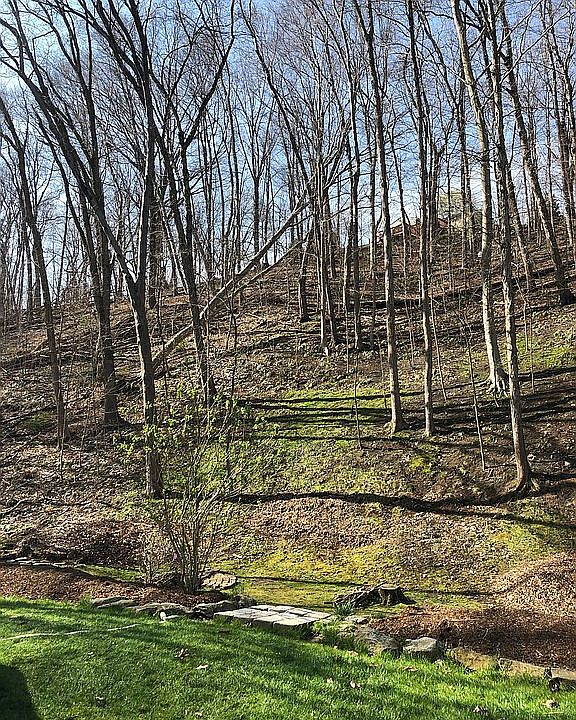 Backyard view from patio
