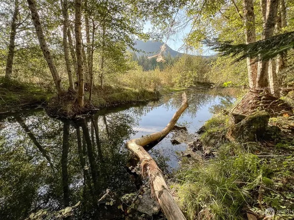 104 Rainbow Place, White Pass, WA 98361