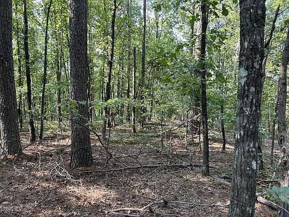 2nd image of County Road 424