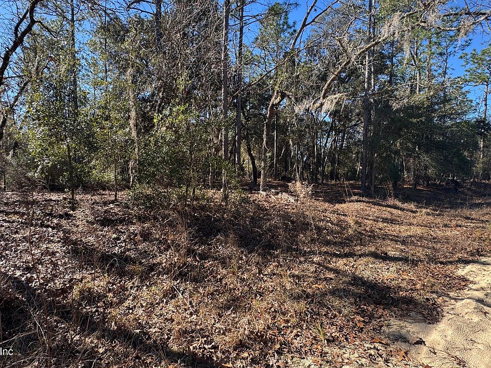 1st image of 131 SPRING LAKE Drive