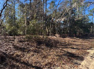 131 SPRING LAKE Drive, Interlachen, FL 32148