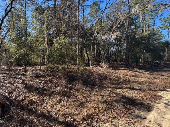 131 SPRING LAKE Drive, Interlachen, FL 32148