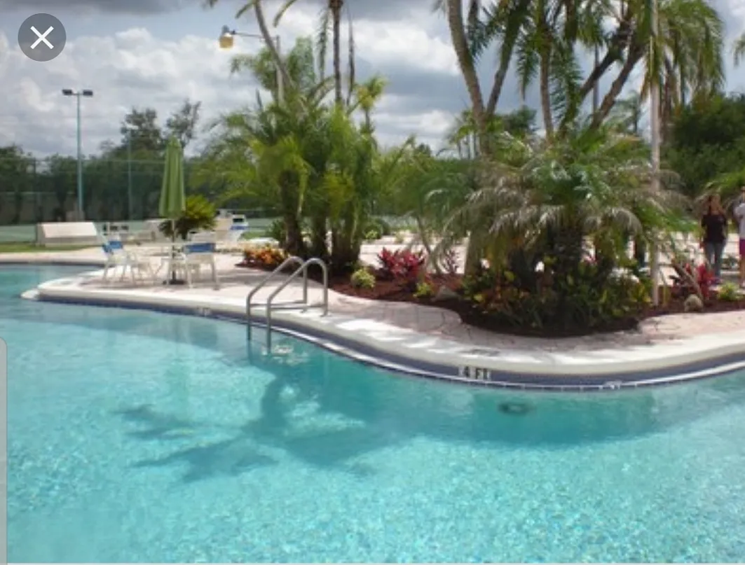 1 bed, $900 — Photo 2