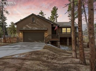 1169 Ptarmigan Dr, Woodland Park, CO 80863
