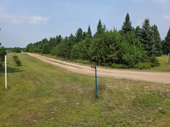 9864 Buckhorn Rd, Tomahawk, WI 54487