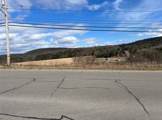 1108 Farm To Market Rd, Endicott, NY 13760