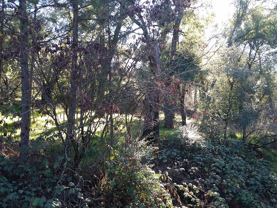 2nd image of 5560 Hale Ave