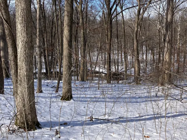 347 Mill Spring Ct, Fillmore, IN 46128