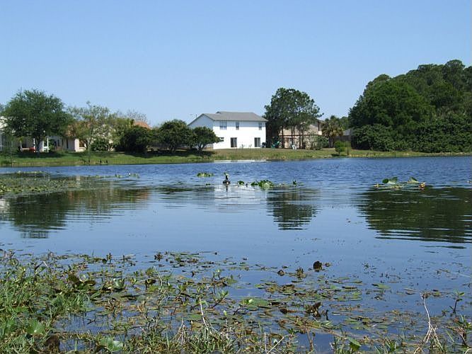 Lakeside setting