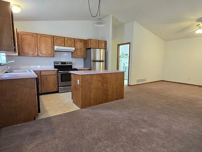 1007 Mullein Dr — Photo 4