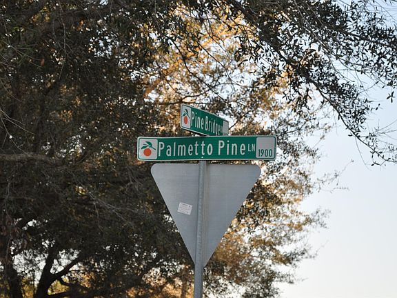 5th image of 2018 Palmetto Pine Ln