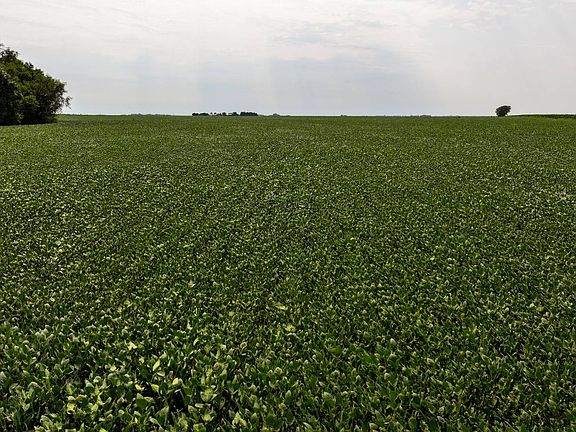 3rd image of 0 County Rd W