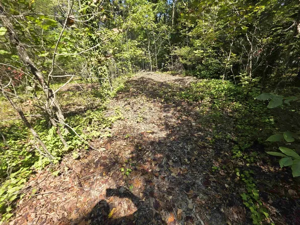 L-10 N Summit Ridge Dr #B, Williford, AR 72482
