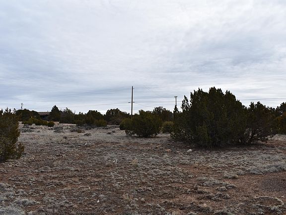 4th image of 8546 Cannon Blvd