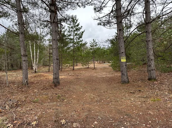 40 Acres E Sand Ridge Rd, Goetzville, MI 49736