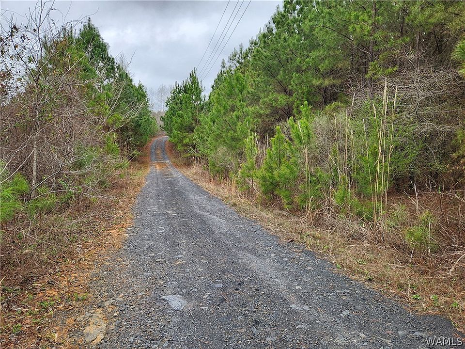 2nd image of 11 Milldale Rd