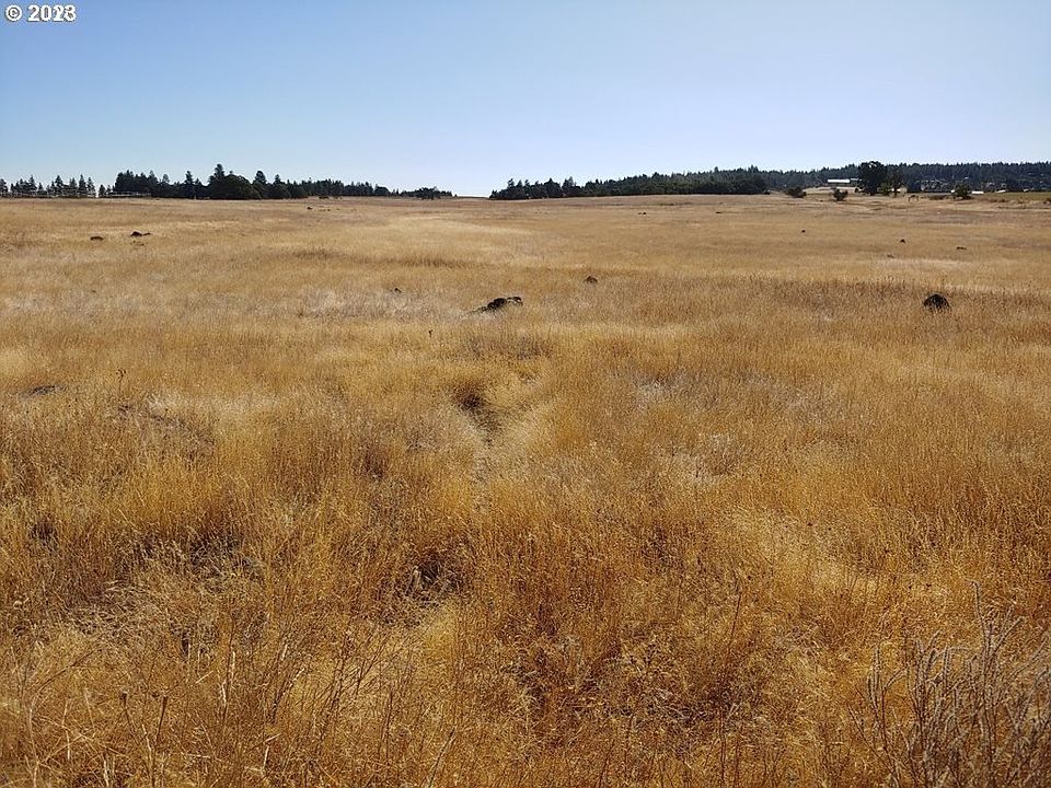 2nd image of Patton Ln