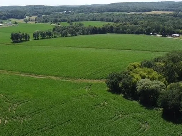 Costigan Rd, Lyndon Station, WI 53944