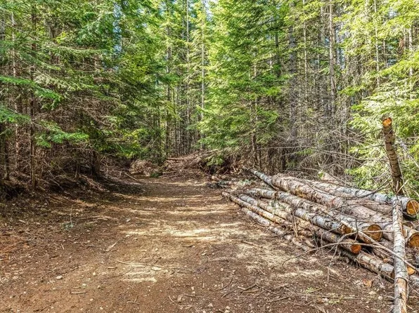 4851 Coyote Trl, Newport, WA 99156