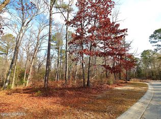 9691 Red Raspberry Rd NE, Leland, NC 28451