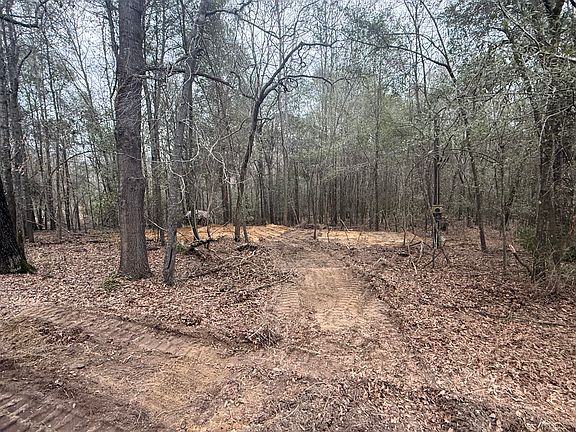 5th image of 223 Ridge Road