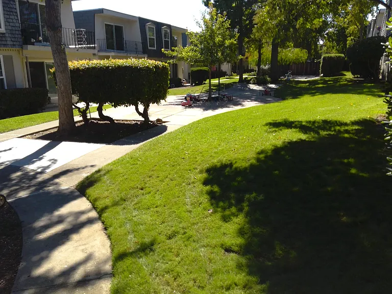 976 S Wolfe Rd #A — Photo 1