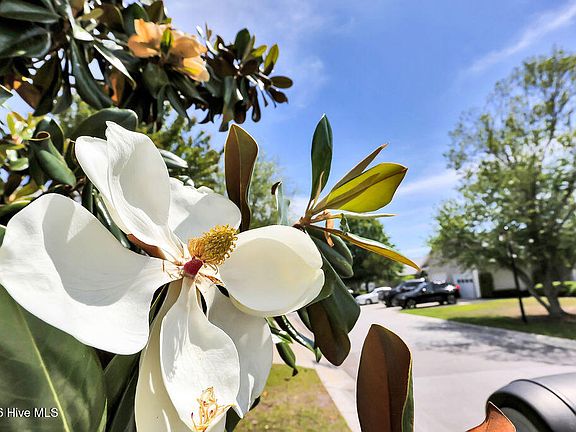4th image of 4418 Willow Moss Way