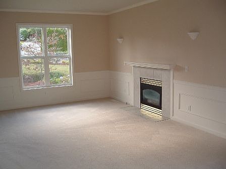 Living room & fireplace