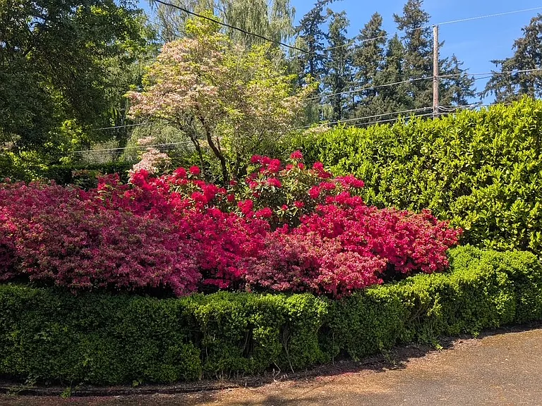 7100 SW Newton Pl — Photo 6