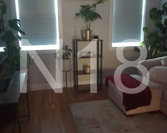 Blackout electric blinds to create the perfect lighting for your personal preference