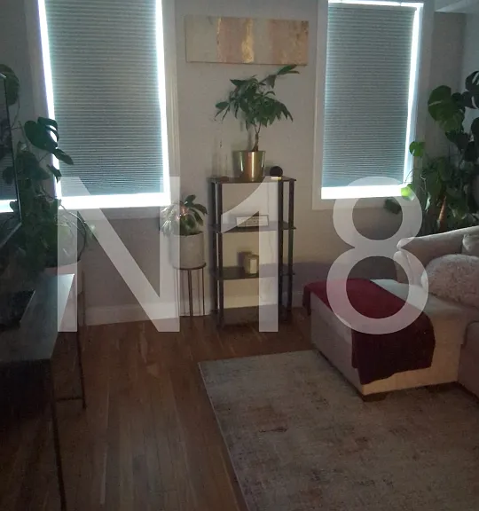 Blackout electric blinds to create the perfect lighting for your personal preference