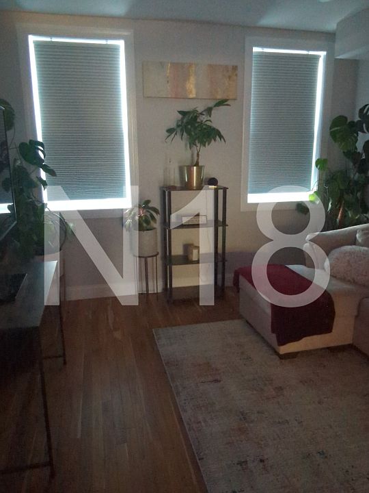 Blackout electric blinds to create the perfect lighting for your personal preference