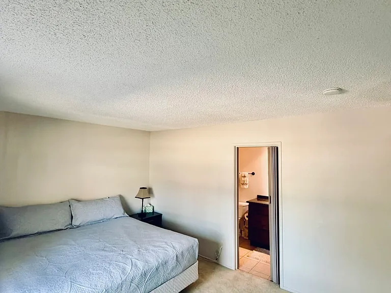 1950 S Palm Canyon Dr #104 — Photo 8