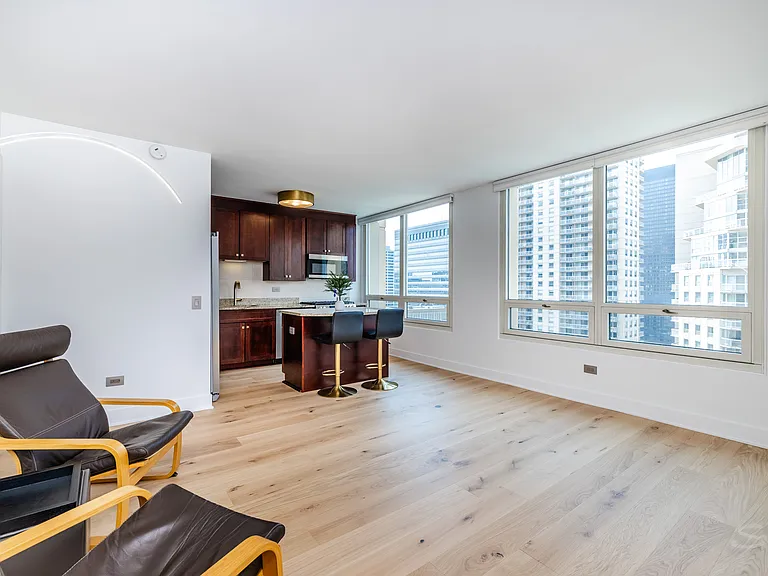 33 W Ontario St #31D — Photo 29