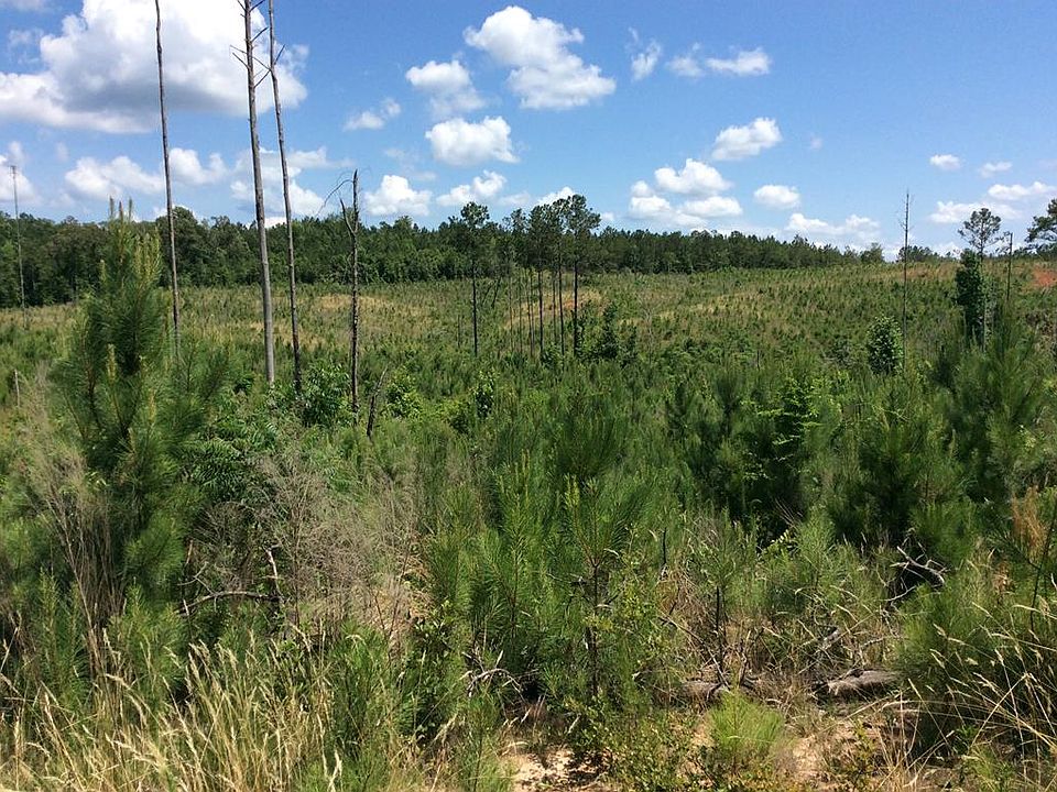 1 New Ebenezer Rd, Lapine, AL 36046 Zillow