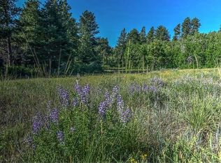 182 Tbd Cir #F, Westcliffe, CO 81252