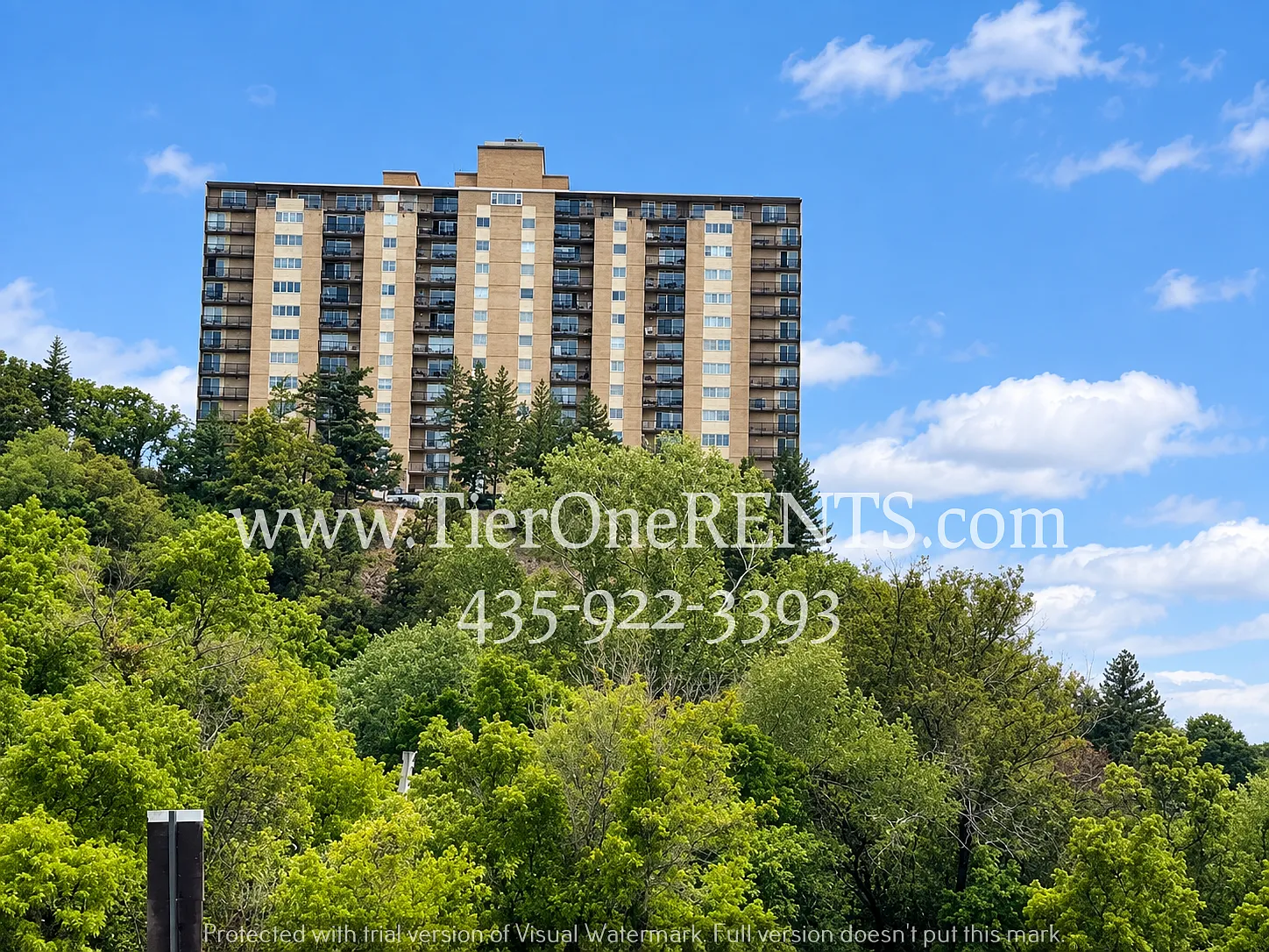 3 bed, 2.0 bath, 1875 sqft, $3,395 — Photo 2